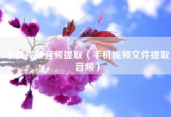 手机视频音频提取（手机视频文件提取音频）