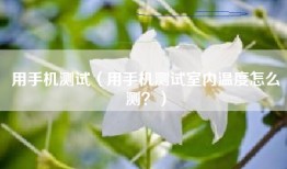 用手机测试（用手机测试室内温度怎么测？）