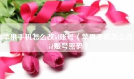 苹果手机怎么改id账号（苹果手机怎么改id账号密码）