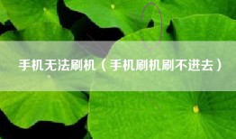 手机无法刷机（手机刷机刷不进去）