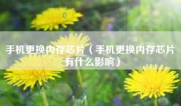 手机更换内存芯片（手机更换内存芯片 有什么影响）