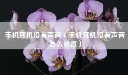 手机耳机没有声音（手机耳机没有声音怎么设置）