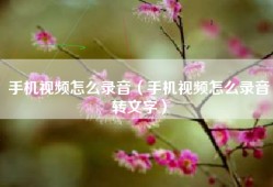 手机视频怎么录音（手机视频怎么录音转文字）