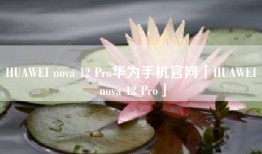 HUAWEI nova 12 Pro华为手机官网「HUAWEI nova 12 Pro」