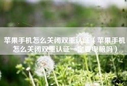 苹果手机怎么关闭双重认证（苹果手机怎么关闭双重认证一定要电脑吗）