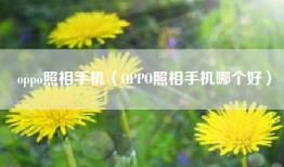 oppo照相手机（OPPO照相手机哪个好）