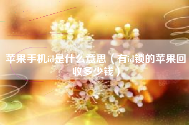 苹果手机id是什么意思（有id锁的苹果回收多少钱）