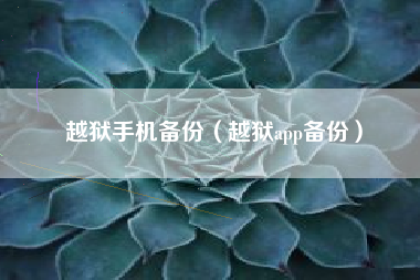 越狱手机备份（越狱app备份）