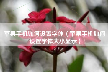 苹果手机如何设置字体（苹果手机如何设置字体大小显示）